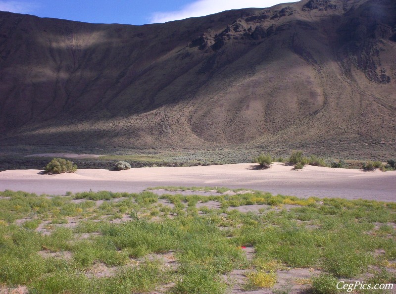 Beverly Dunes