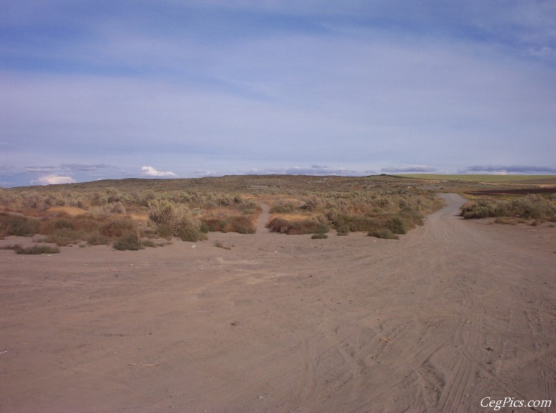 Juniper Dunes