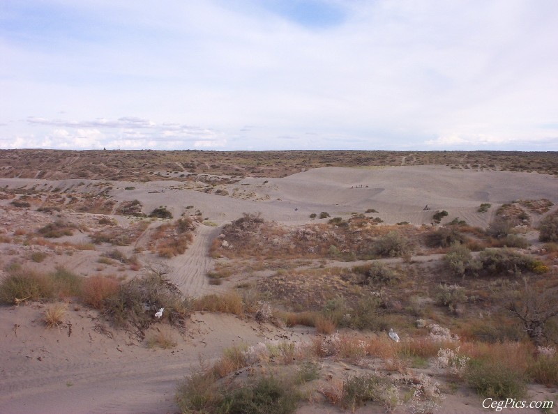 Juniper Dunes