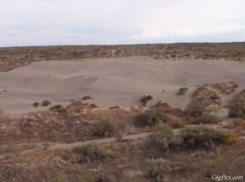 Juniper Dunes