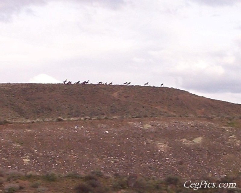Moses Lake