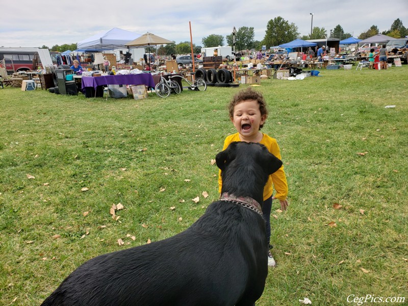 Kennewick Giant Swap Meet