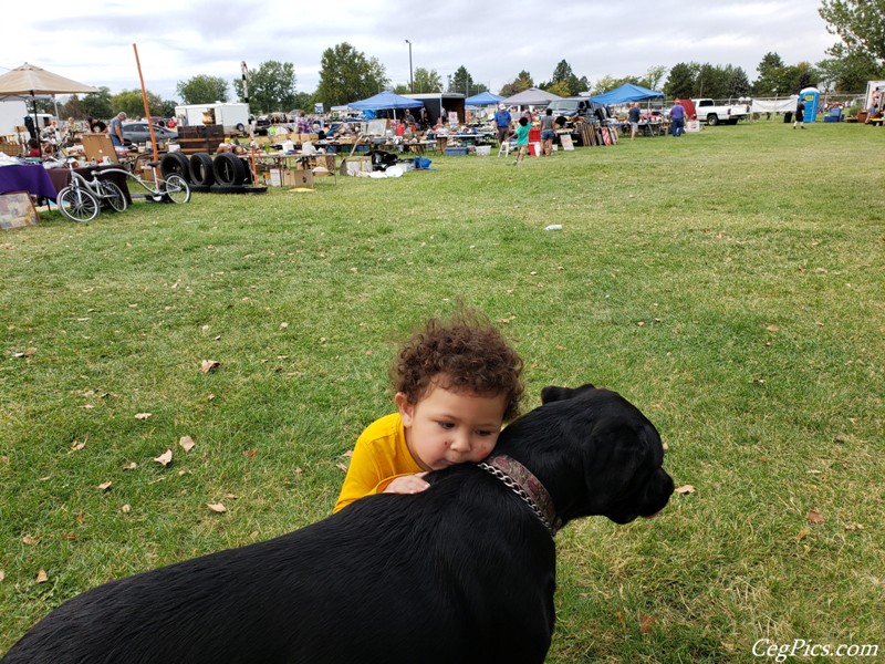 Kennewick Giant Swap Meet