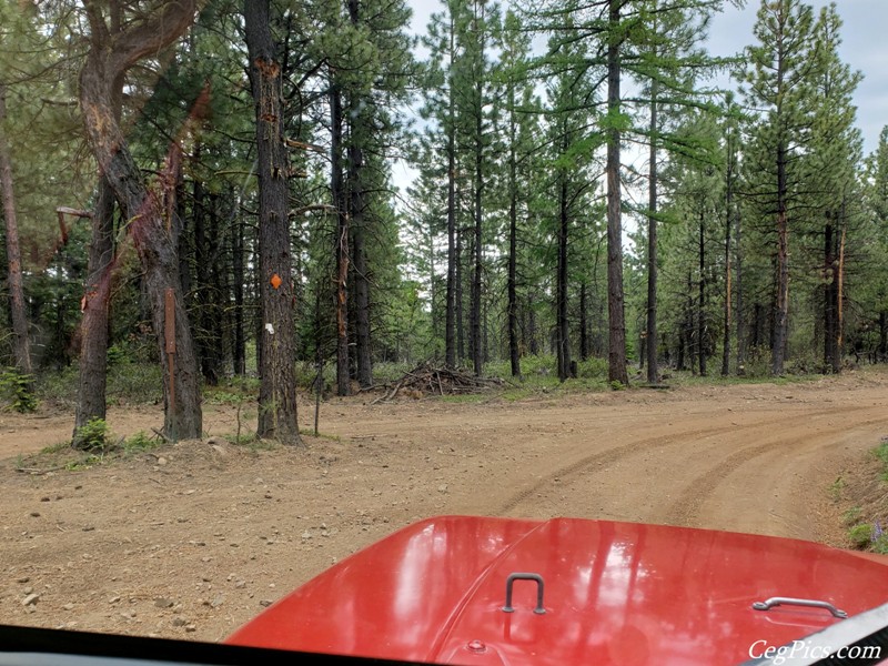 Ahtanum State Forest