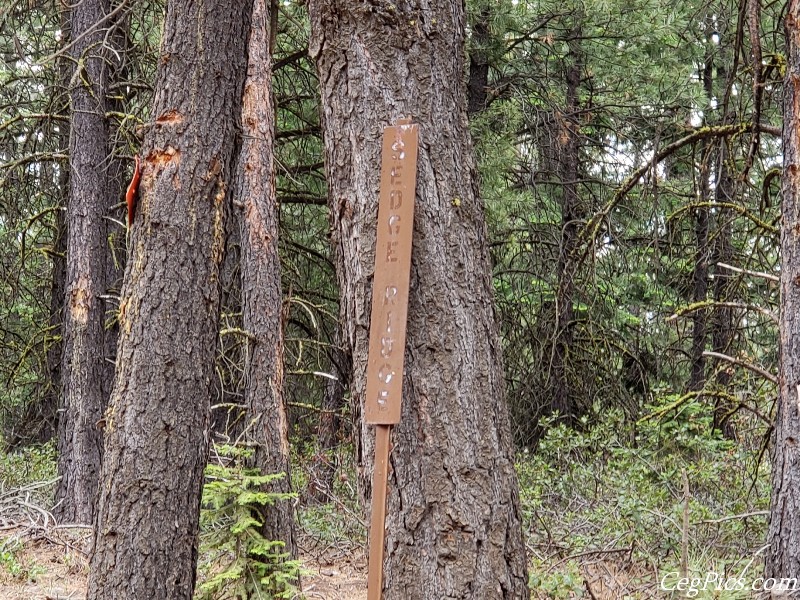 Ahtanum State Forest