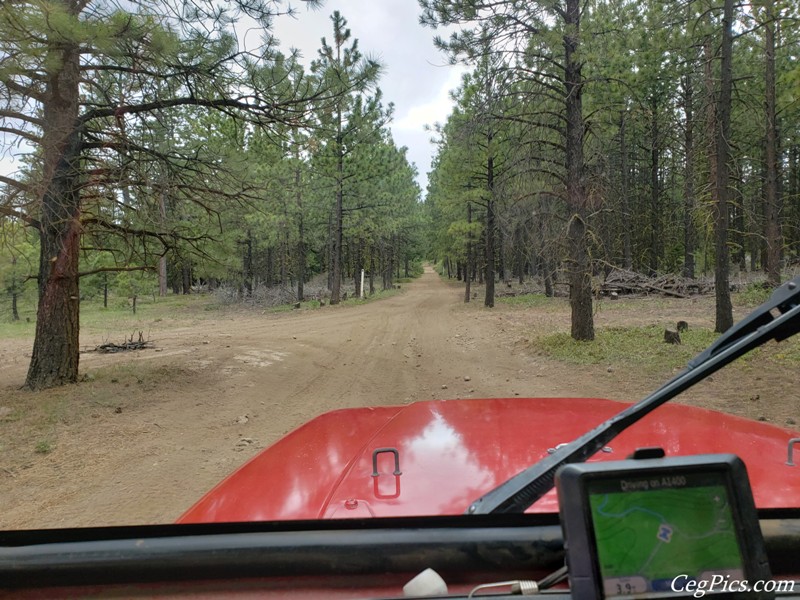 Ahtanum State Forest