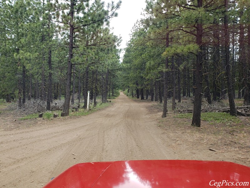Ahtanum State Forest