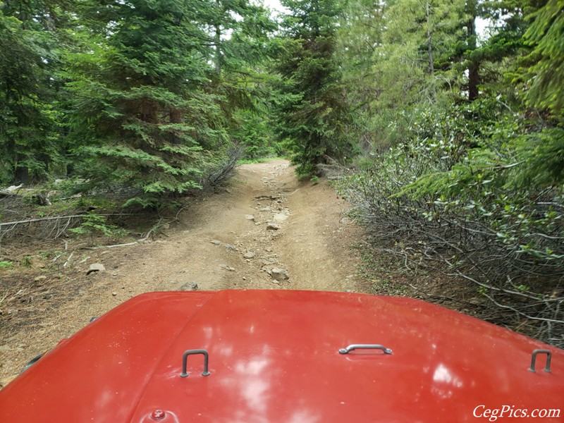 Ahtanum State Forest