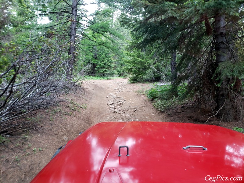 Ahtanum State Forest