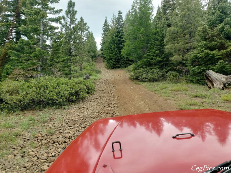 Ahtanum State Forest