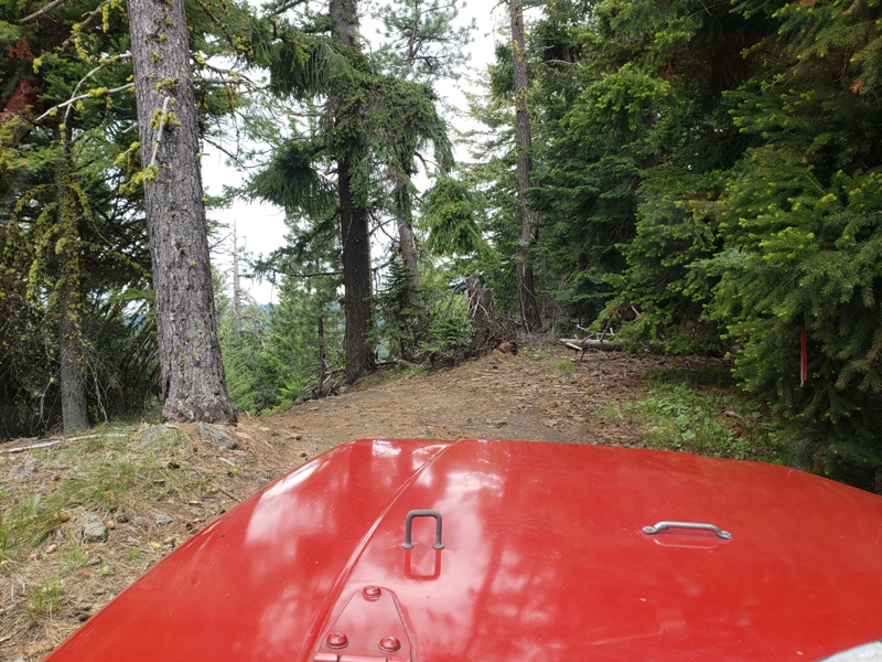 Ahtanum State Forest