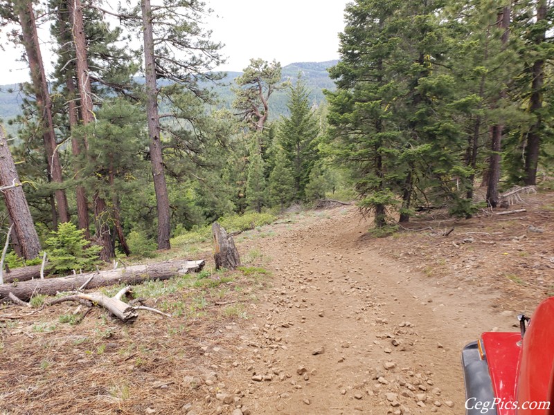 Ahtanum State Forest