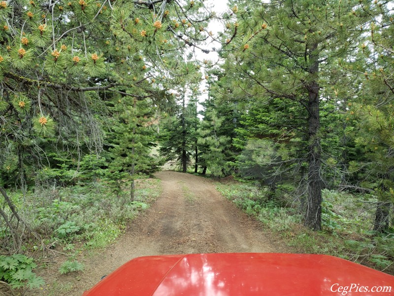 Ahtanum State Forest