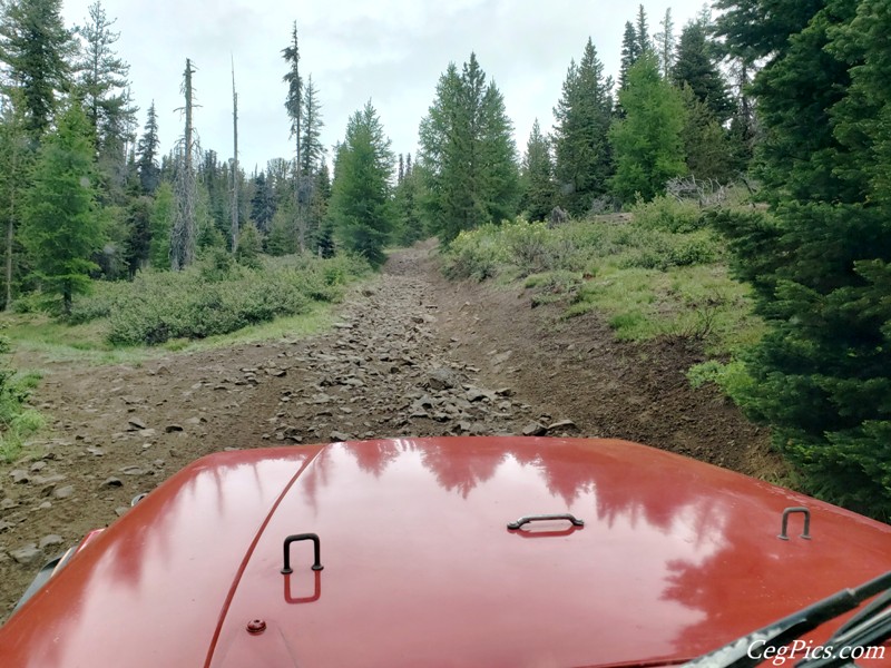 Ahtanum State Forest
