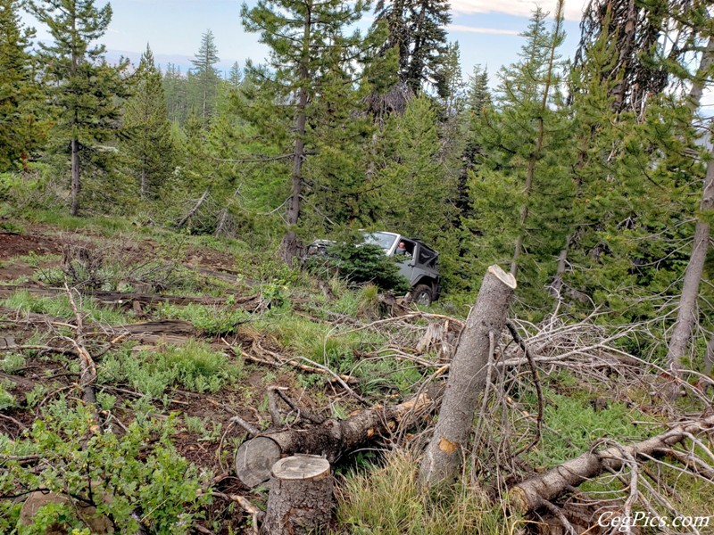 Ahtanum State Forest