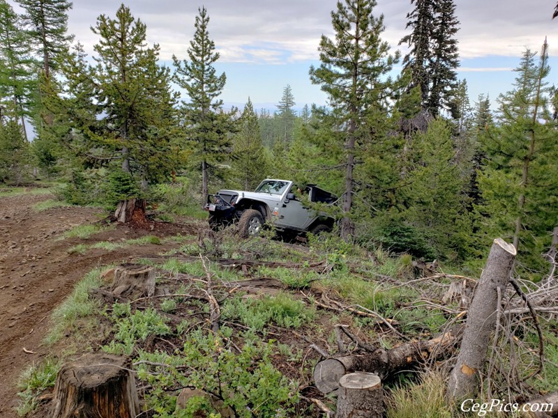 Ahtanum State Forest