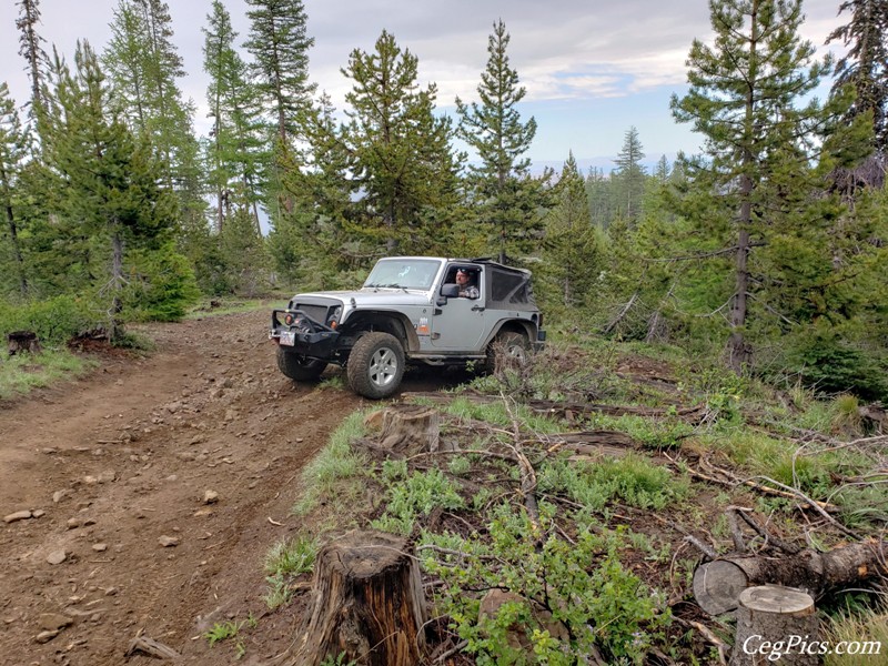 Ahtanum State Forest