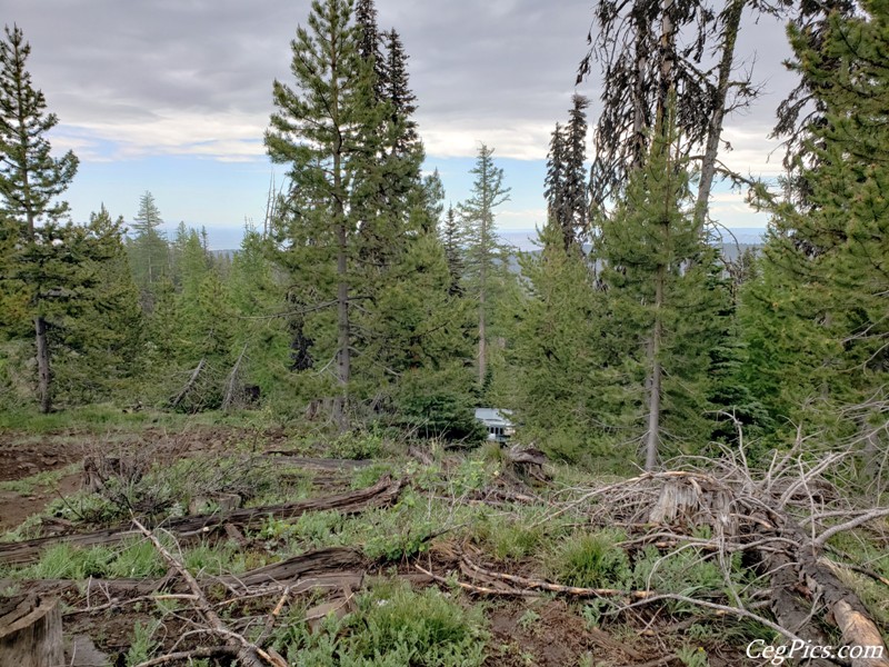 Ahtanum State Forest
