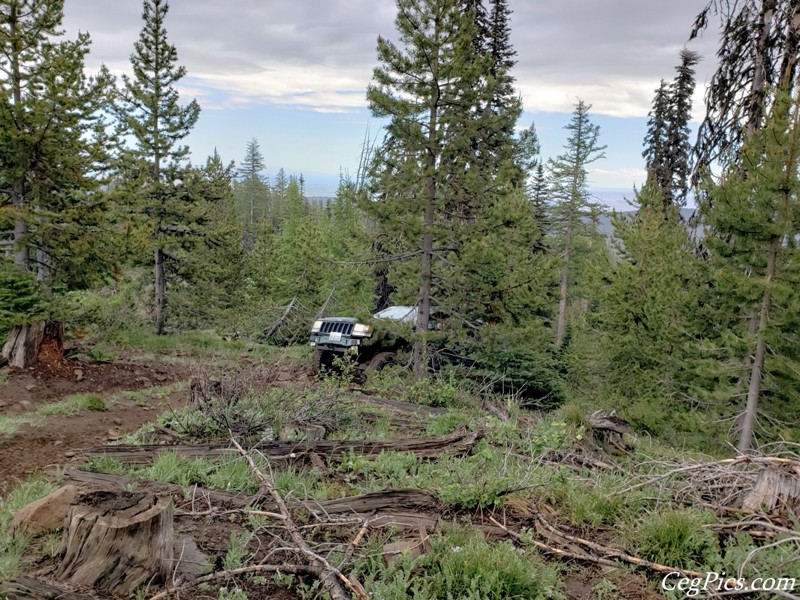 Ahtanum State Forest