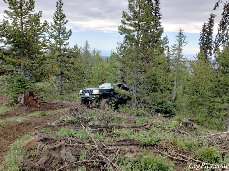 Ahtanum State Forest
