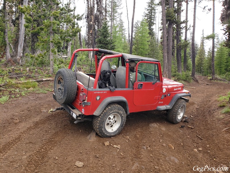 Ahtanum State Forest