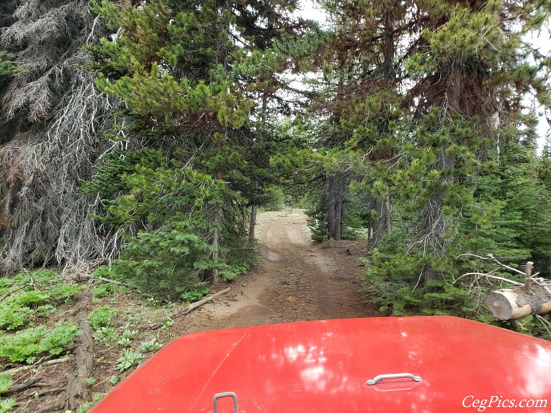 Ahtanum State Forest