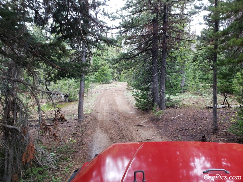 Ahtanum State Forest
