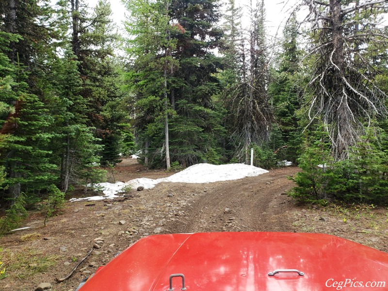 Ahtanum State Forest