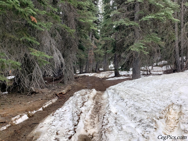 Ahtanum State Forest