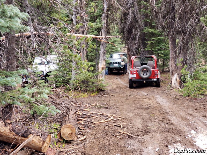 Ahtanum State Forest