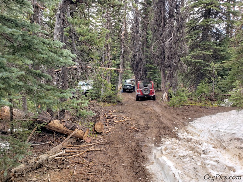 Ahtanum State Forest