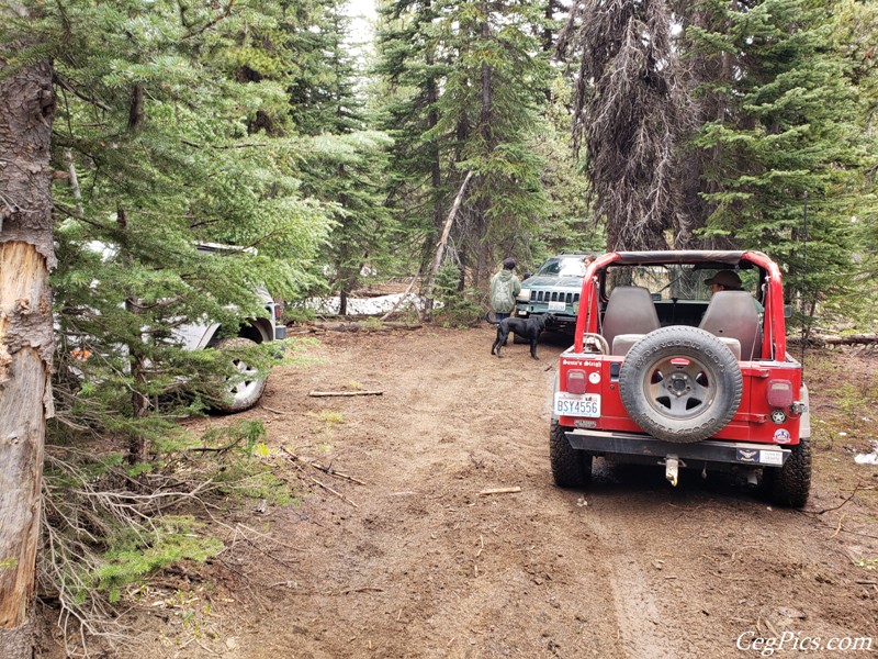Ahtanum State Forest