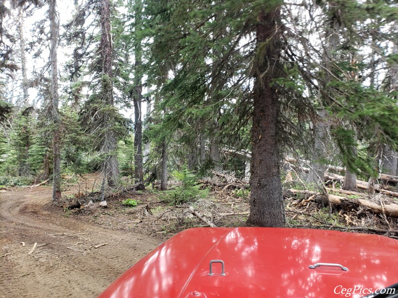 Ahtanum State Forest