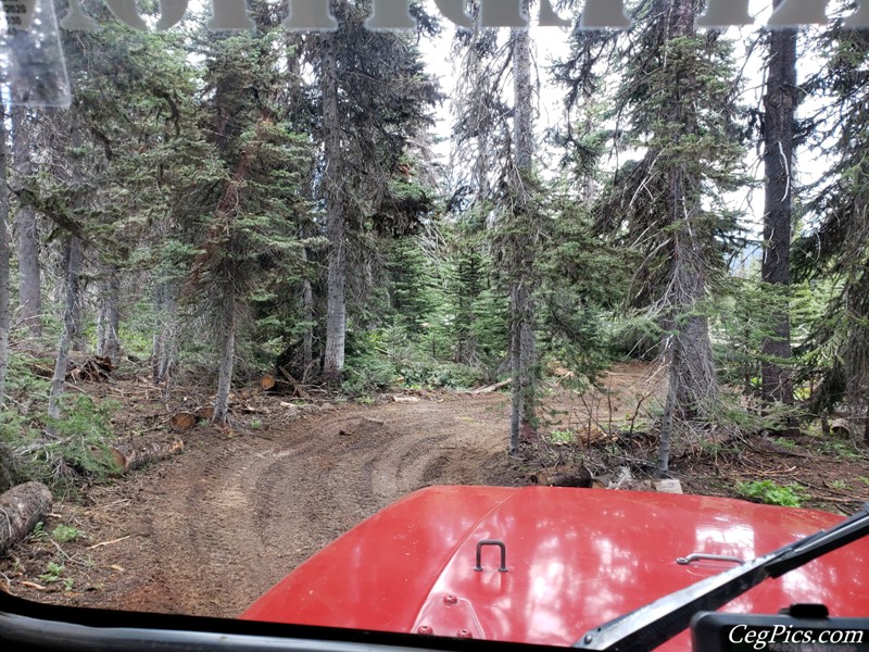 Ahtanum State Forest