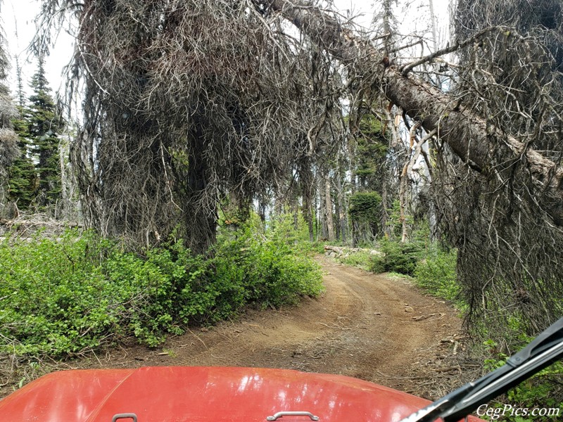 Ahtanum State Forest