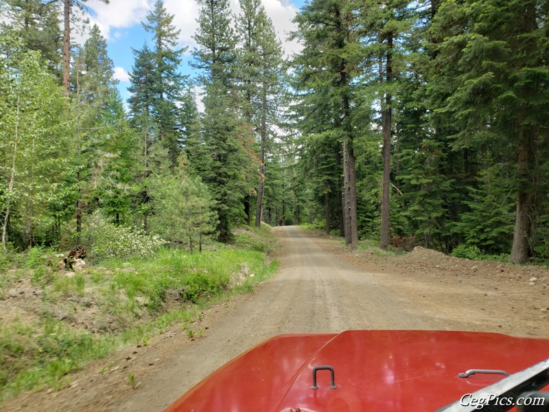 Ahtanum State Forest