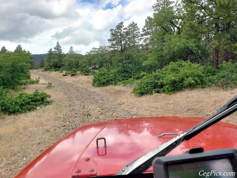 Ahtanum State Forest