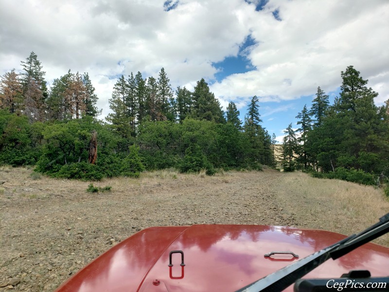 Ahtanum State Forest