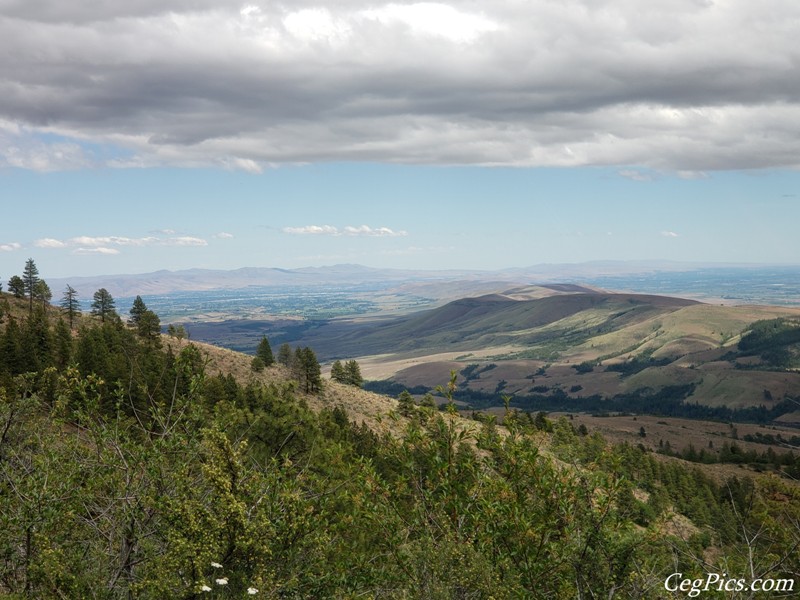 Ahtanum State Forest