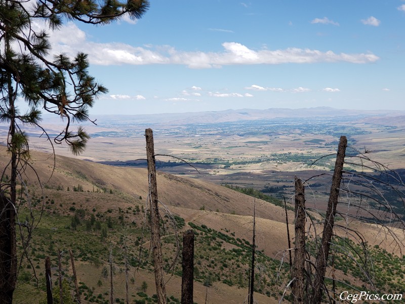 Ahtanum State Forest