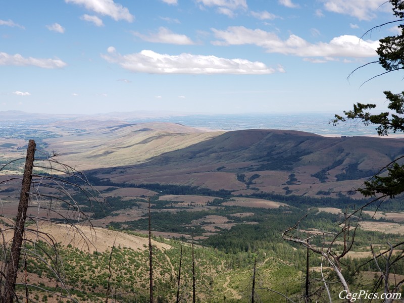 Ahtanum State Forest