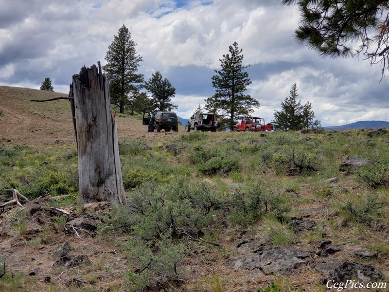 Ahtanum State Forest