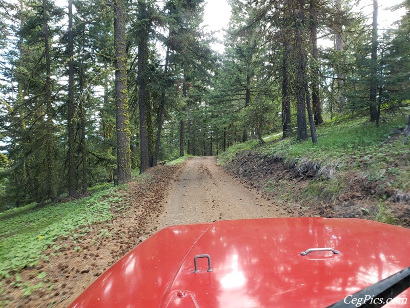 Ahtanum State Forest