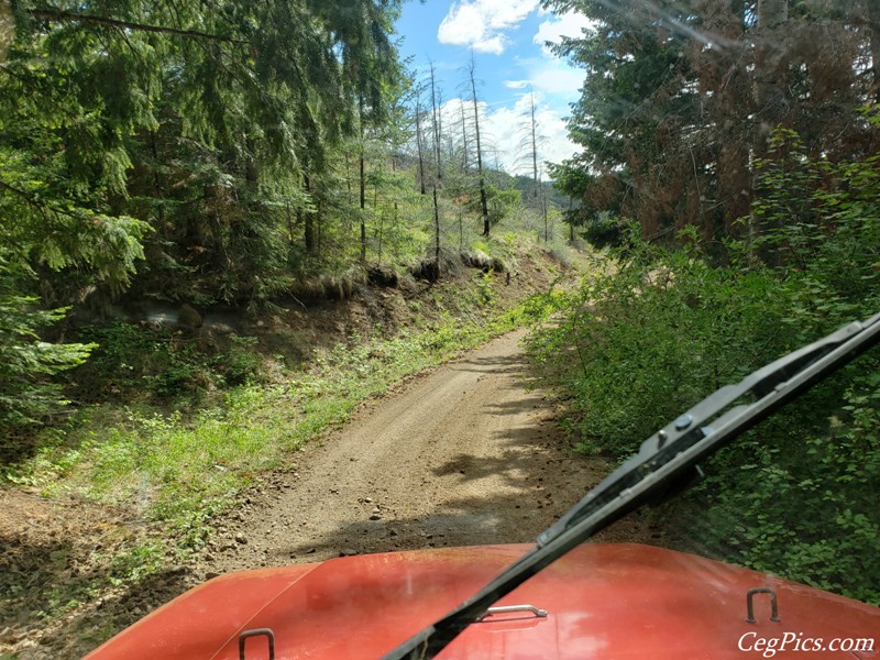 Ahtanum State Forest