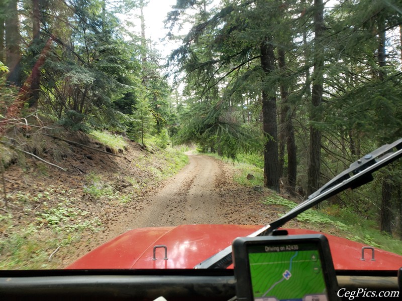 Ahtanum State Forest