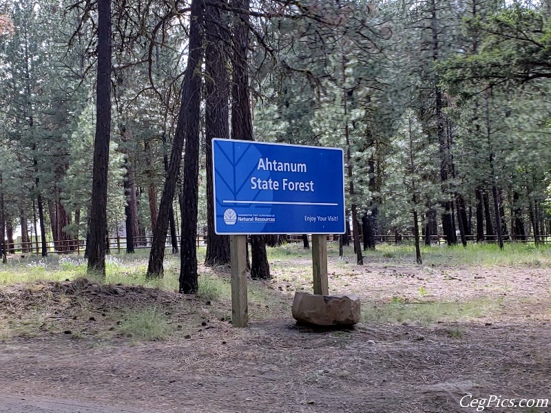 Ahtanum State Forest