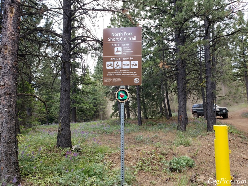 Ahtanum State Forest