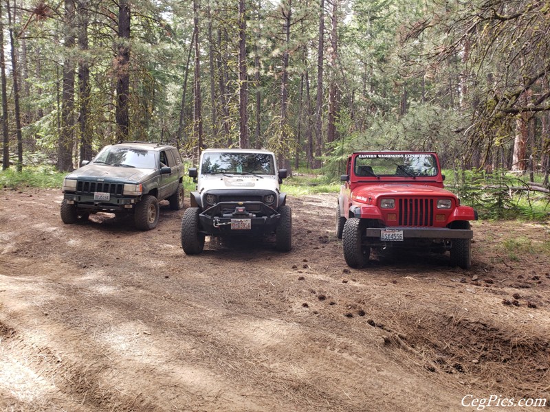 Ahtanum State Forest