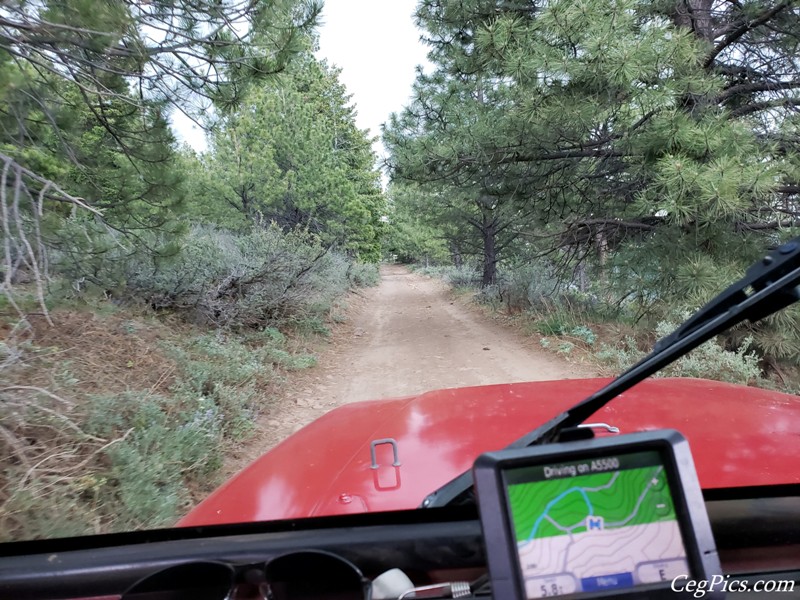 Ahtanum State Forest
