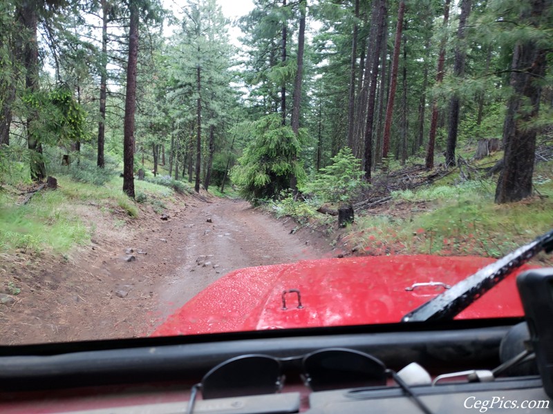 Ahtanum State Forest